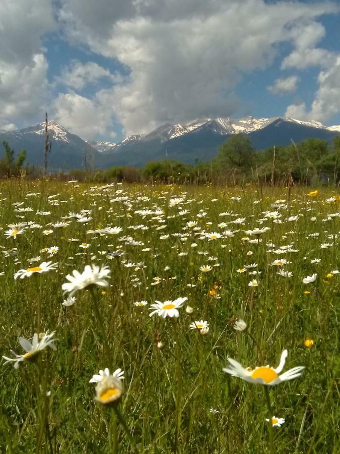 Belvedere Luxury Spa Apartments Bansko Dış mekan fotoğraf